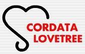 Cordata Lovetree